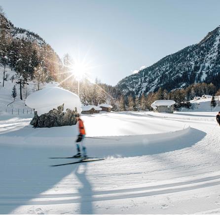 Cross-Country Skiing