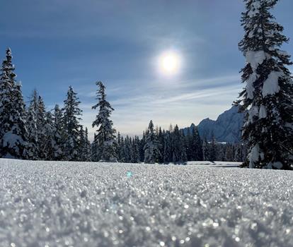 Panorama invernale