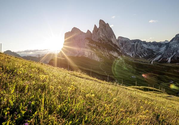 Summer Holidays in the Dolomites