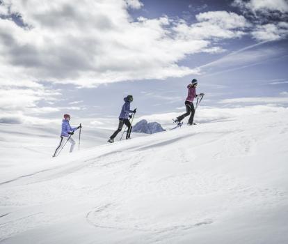 Group Snowshoe Hike