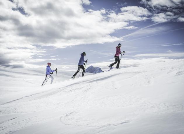 Group Snowshoe Hike