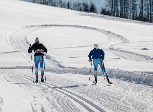 Two Cross-Country Skiers