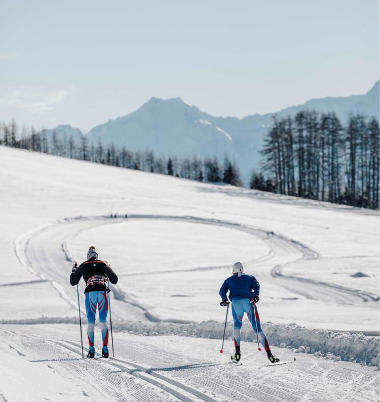 Two Cross-Country Skiers
