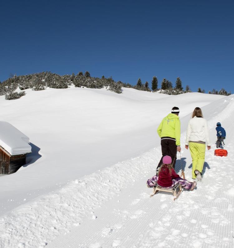 w-tobogganing-c-tvb-kronplatz-photo-helmuth-rier-20120221-4011-sennes-senes