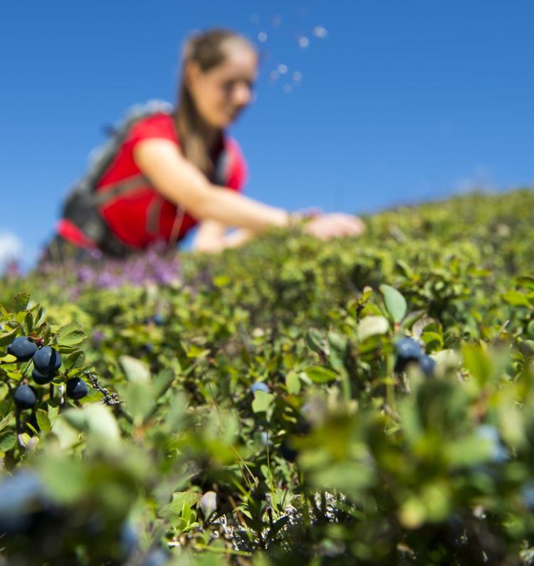 Godersi la natura durante un'escursione