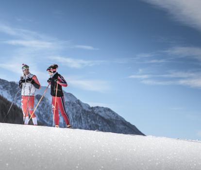 Two Cross-Country Skiers