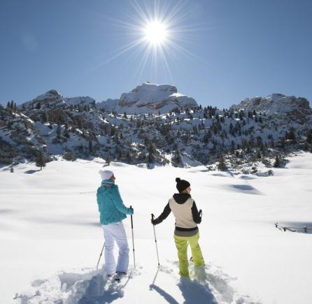 Snowshoe Hike